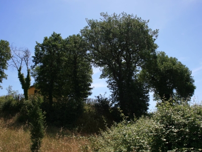 immagine annuncio 8 di 9