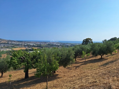immagine annuncio 1 di 9