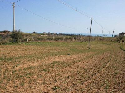 immagine annuncio 6 di 9