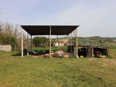 immagine annuncio 3 di 9