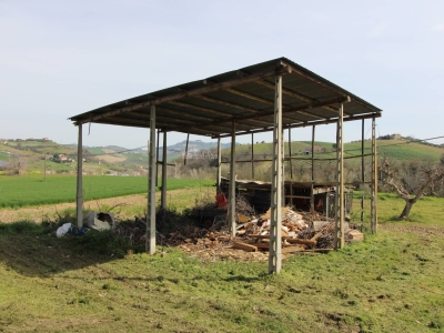 immagine annuncio 8 di 9