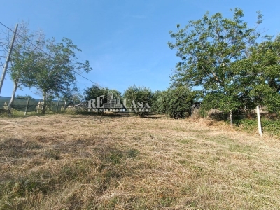 immagine annuncio 7 di 9