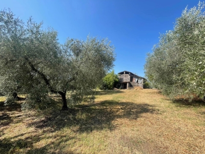 immagine annuncio 6 di 9
