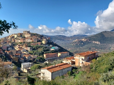 immagine annuncio 1 di 8