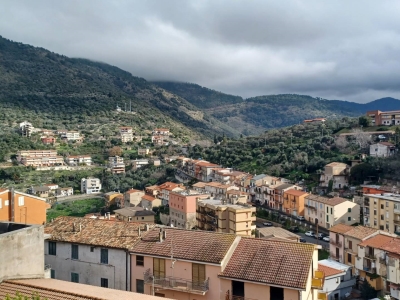 immagine annuncio 5 di 8