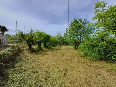 immagine annuncio 3 di 9