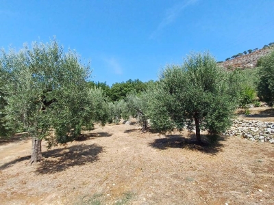 immagine annuncio 5 di 9
