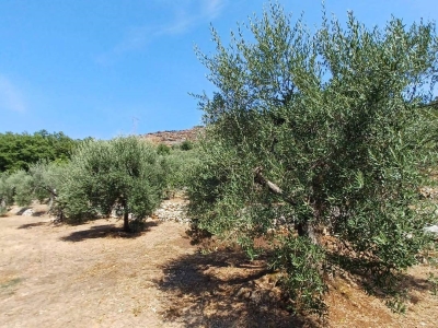 immagine annuncio 3 di 9