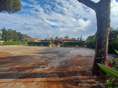 immagine annuncio 6 di 9