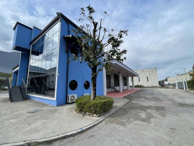 immagine annuncio 3 di 9