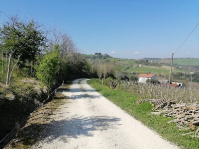 immagine annuncio 8 di 9
