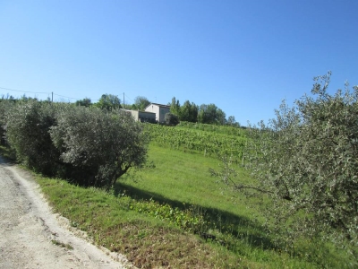 immagine annuncio 6 di 9