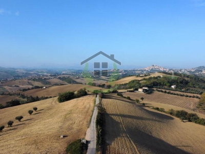 immagine annuncio 3 di 6