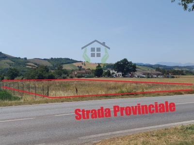 immagine annuncio 1 di 9