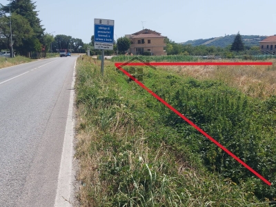 immagine annuncio 4 di 9