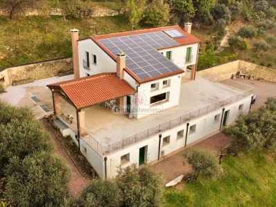 immagine annuncio 3 di 9