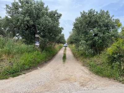 immagine annuncio 1 di 9