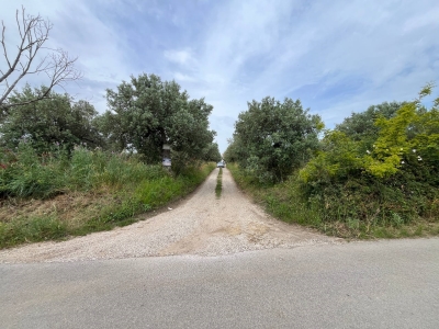 immagine annuncio 2 di 9