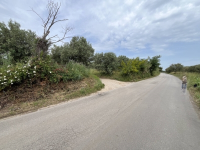 immagine annuncio 3 di 9