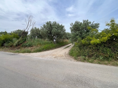 immagine annuncio 4 di 9
