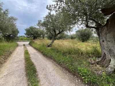 immagine annuncio 5 di 9
