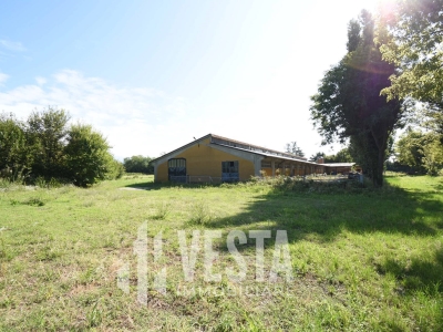 immagine annuncio 2 di 9