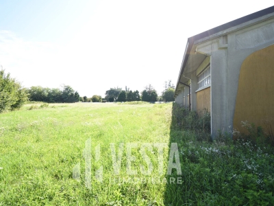 immagine annuncio 4 di 9