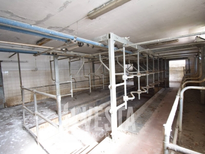 immagine annuncio 8 di 9