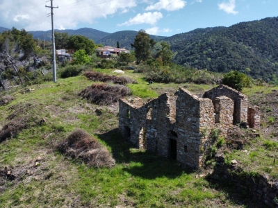 immagine annuncio 5 di 9