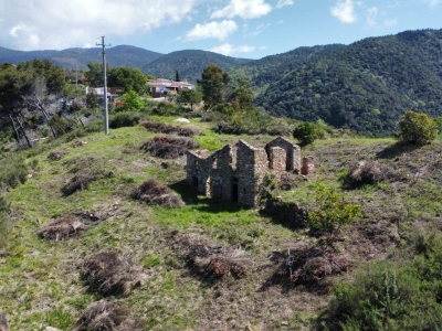 immagine annuncio 6 di 9