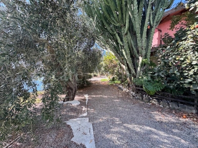 immagine annuncio 4 di 9