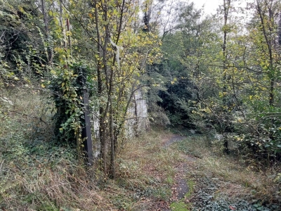 immagine annuncio 3 di 9