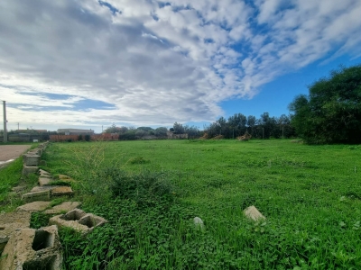 immagine annuncio 1 di 3