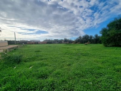 immagine annuncio 2 di 3