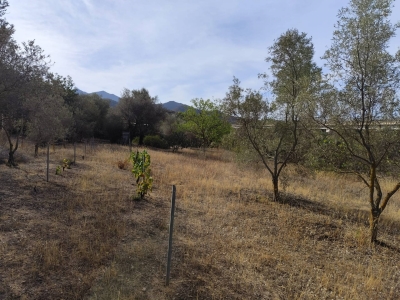 immagine annuncio 3 di 4