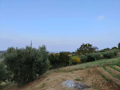 immagine annuncio 3 di 9