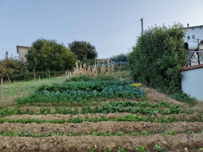 immagine annuncio 7 di 9
