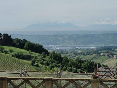 immagine annuncio 8 di 9