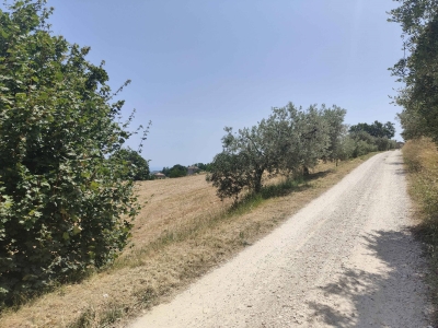 immagine annuncio 2 di 9