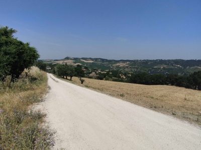 immagine annuncio 6 di 9