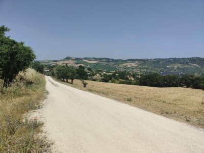 immagine annuncio 4 di 9