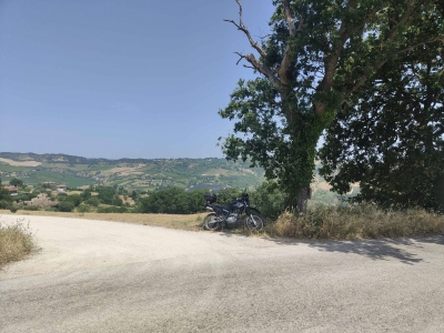 immagine annuncio 8 di 9