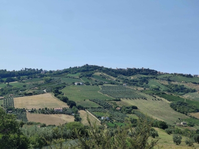 immagine annuncio 5 di 9