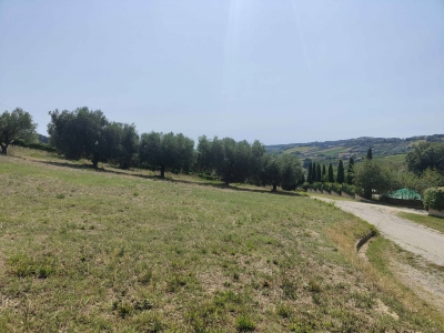 immagine annuncio 6 di 9
