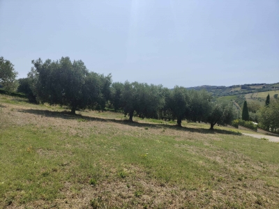 immagine annuncio 8 di 9