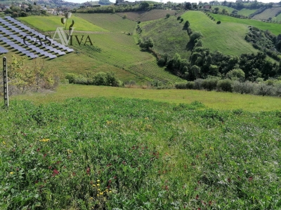 immagine annuncio 7 di 9