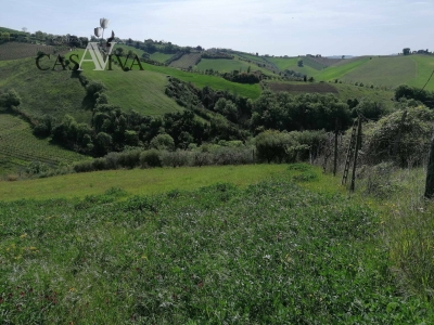 immagine annuncio 8 di 9