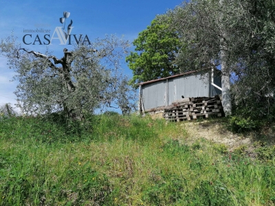 immagine annuncio 5 di 9