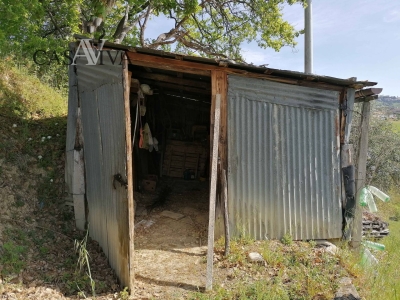 immagine annuncio 2 di 9