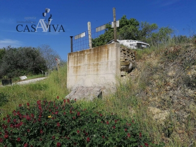 immagine annuncio 3 di 9